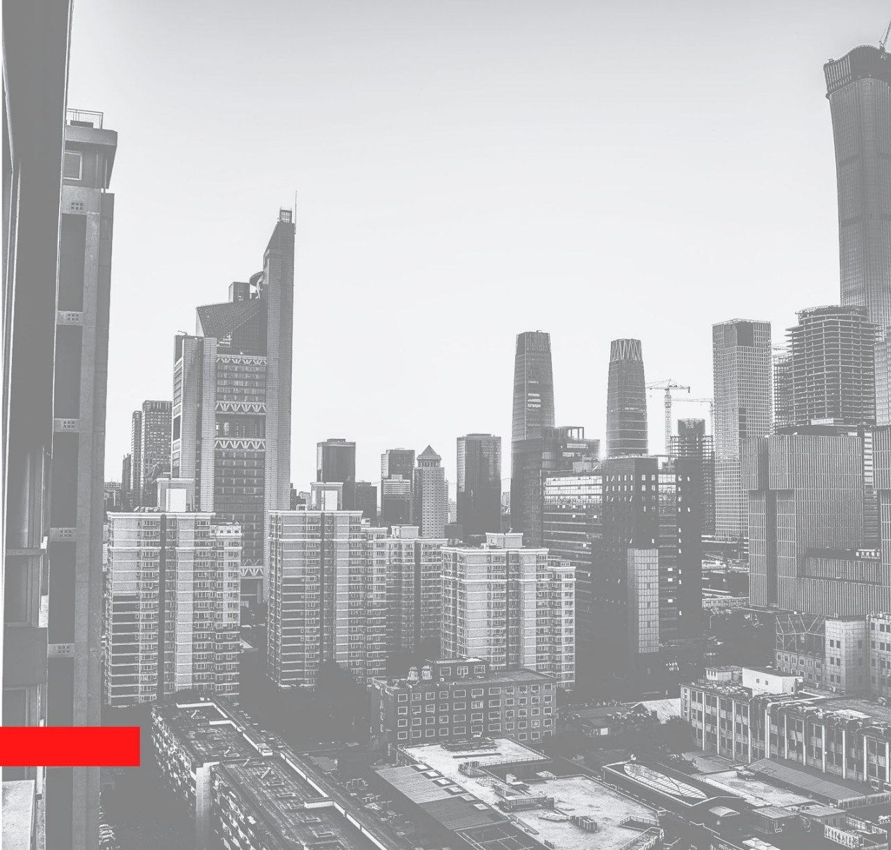 TNW Marketing Office